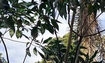 Imagem 6: Chacará em Juquitiba