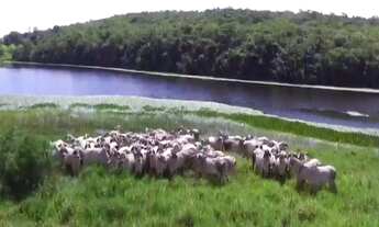 Imagem 6: Chácara à venda em Belo Horizonte/MG
