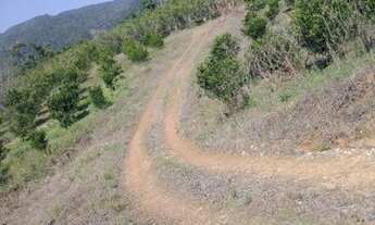 Imagem 7: Vende-se chácara em cerro azul