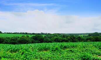Imagem 4: Oportunidade. Vendo Fazendinhas com Riacho e Financiamento em Baldim