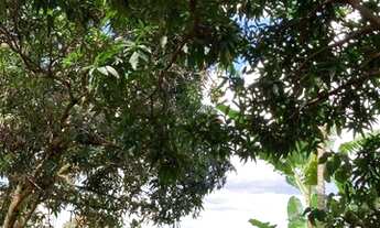 Imagem: Chácara a venda