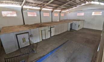 Imagem 6: Galpão para locação, Serraria, São José, SC