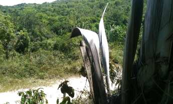 Imagem: Terreno em Guerreiro