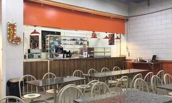 Imagem 4: Loja Siqueira Bueno