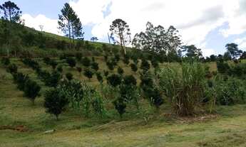 Imagem 6: Vende-se chácara em cerro azul