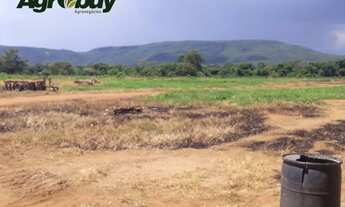 Imagem 3: Fazenda em Fátima to Com 307 Alqueires