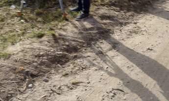 Imagem 3: Lote na avenida 20 mil.rrais 250 metro