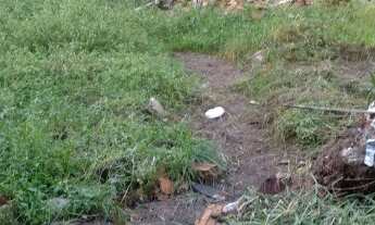 Imagem 3: Vende-se lotes de terrenos