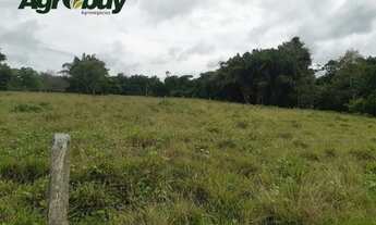 Imagem 3: Fazenda Com 563 Alqueires Localizada à 85km de Araguaína to