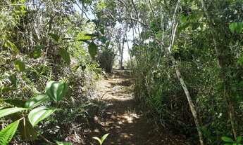 Imagem 4: Terreno sem benfeitorias para formação de sitio de lazer