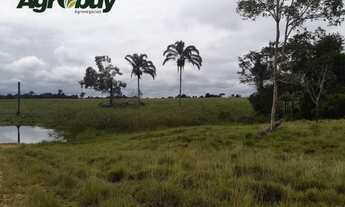 Imagem 4: Fazenda Com 563 Alqueires Localizada à 85km de Araguaína to