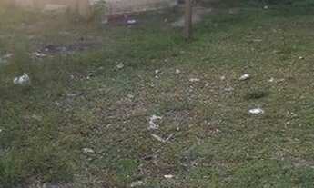 Imagem: Chácara para locação