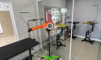 Imagem 2: PET SHOP COMPLETO EM ALPHAVILLE - GRANDE OPORTUNIDADE