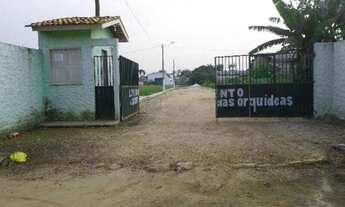 Imagem: Jardim das Orquídeas