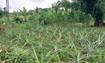 Imagem 4: Vendo ou troco chácara 30 mil