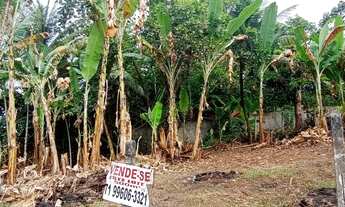 Imagem 1: Terreno em monte gordo