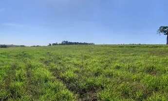 Imagem 3: Lote de 8 mil m² - Ótimo terreno para Chácara em Porto Feliz/SP