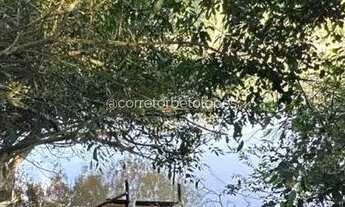 Imagem 5: Chácara 744 m² no bairro Cristal