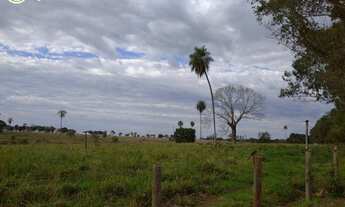 Imagem 3: FAZENDA Á VENDA EM NIOAQUE MS - 1.182 HECTARES (DUPLA APTIDÃO