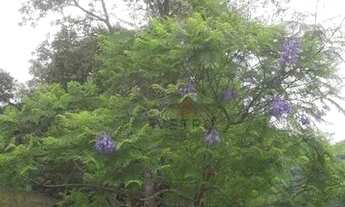 Imagem 7: Sítio na Linha Pirajá em Nova Petrópolis!