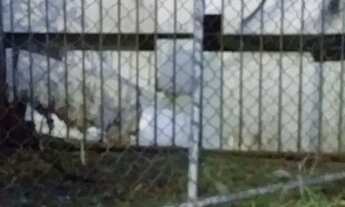 Imagem 2: Alugo Apto Apartamento com 2 dormitórios