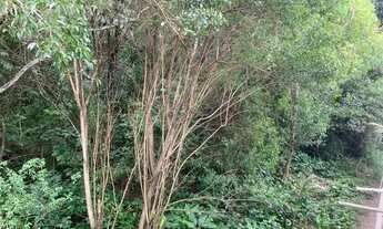 Imagem 7: Casa para venda tem 180 metros quadrados com 4 quartos em Santos Dumont - Maceió - AL