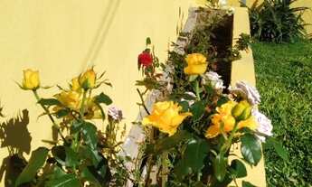 Imagem 7: Casa nova na aparecida, alvorada