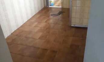 Imagem 4: Apartamento para aluguel com 49 metros quadrados com 1 quarto em Tanque - Rio de Janeiro