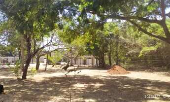 Imagem 6: Casa nova Setor Faiçalville - Goiânia - GO