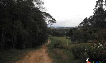 Imagem 4: Linda área Terreno / lote com venda por R$33.000.000