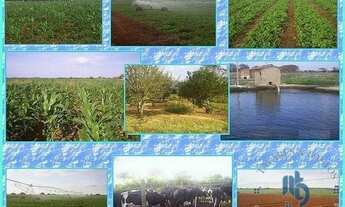 Imagem: Fazenda para Venda em Irecê, JOÃO DOURADO