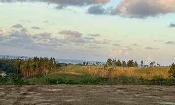 Imagem 7: Lotes em Paripueira