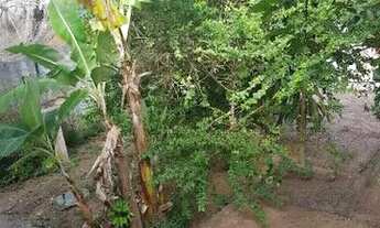 Imagem 5: Casa em Jardim das Acácias