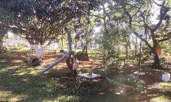 Imagem 2: Linda Chacara Com Excelente Localizaçao