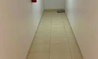 Imagem 2: Aluga-se apartamento