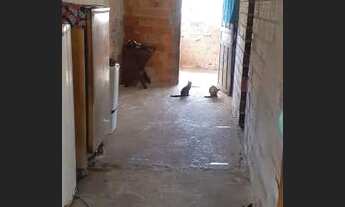 Imagem 5: Vende -se uma casa com 2 quartos um cozinha sala , quintal