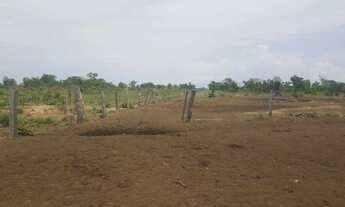 Imagem 5: Fazenda de 16 Mil Hectares Região de Ribeirão Cascalheira - MT