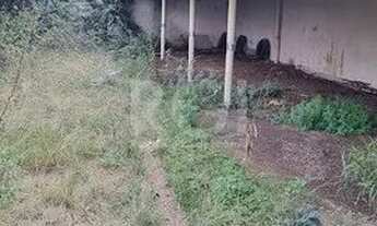 Imagem 2: Terreno para Venda - 0m², 0 dormitórios, Bom Jesus