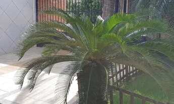 Imagem 2: Casa Dunas totalmente reformada direto proprietário