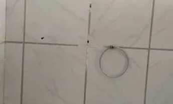 Imagem 2: Kitnet para alugar