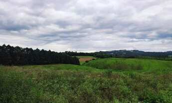 Imagem 4: Lote/Terreno para venda possui 500 metros quadrados em Gramado - Cotia - SP