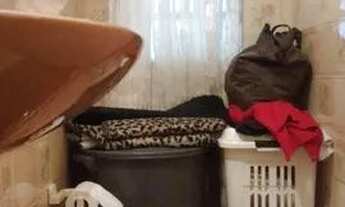 Imagem 7: Sobrado à venda em São Paulo/SP