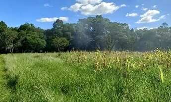 Imagem 2: Velleda oferece ótimo sítio de 3 hectares em Viamão, de barbada, preço de terreno!