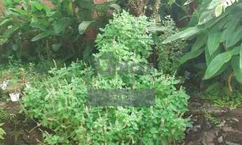 Imagem 7: Casa - Loteamento Alphaville Campinas - Campinas