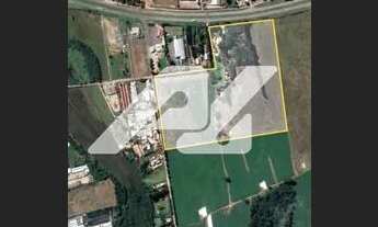 Imagem 6: área - Colmeia - Monte Alegre do Sul