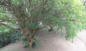 Imagem 5: Casa para Venda - 368m², 3 dormitórios, 2 vagas - Vila Conceição Porto Alegre