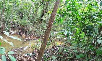 Imagem 4: Fazenda escriturada GEO e CAR com 310 hectares terra cultura próximo rodovia