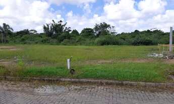 Imagem: Terrenos á venda em Canasvieiras / SC