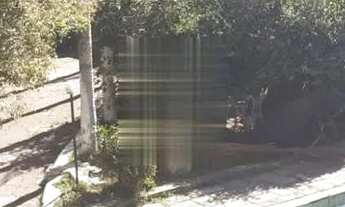 Imagem 7: AREA - JARDIM ROSCHEL - SP