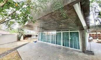 Imagem: PINHEIROS! VALOR ABAIXO DO MERCADO! OPORTUNIDADE